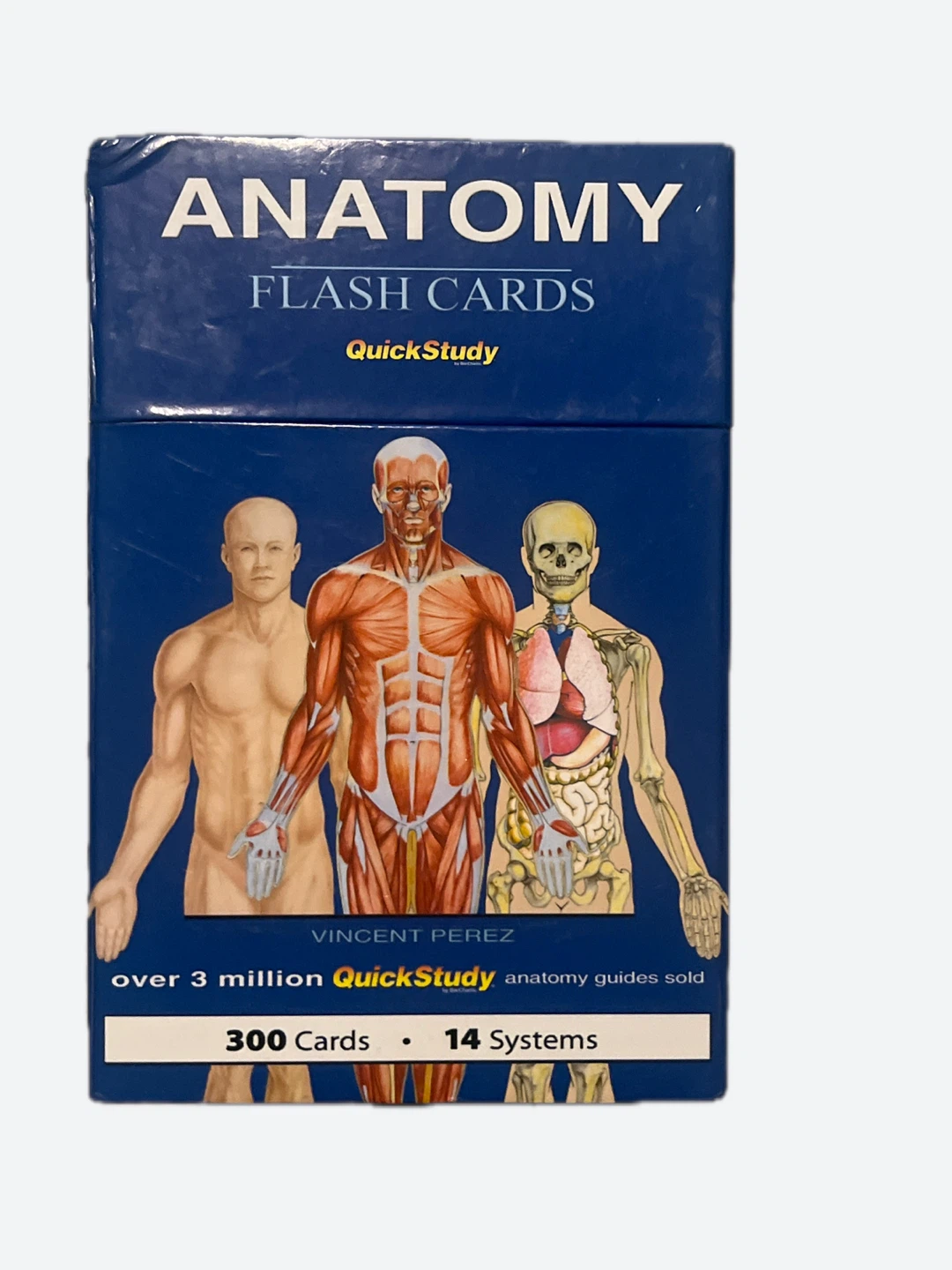 QuickStudy Anatomy Flash Cards