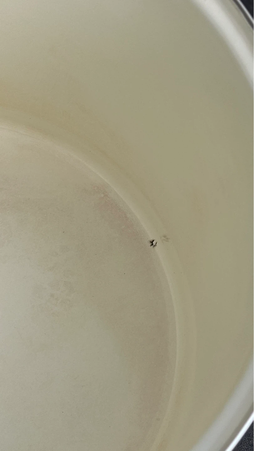 Teal Enamel Stock Pot - photo 5