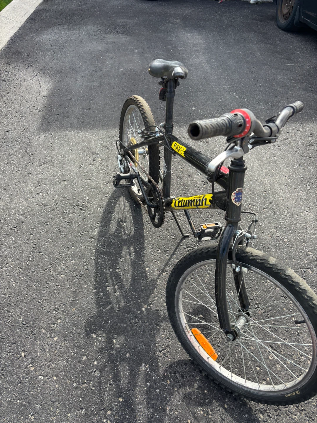 Raleigh Triumph "Rave" Boys Mountain Bike - photo 2