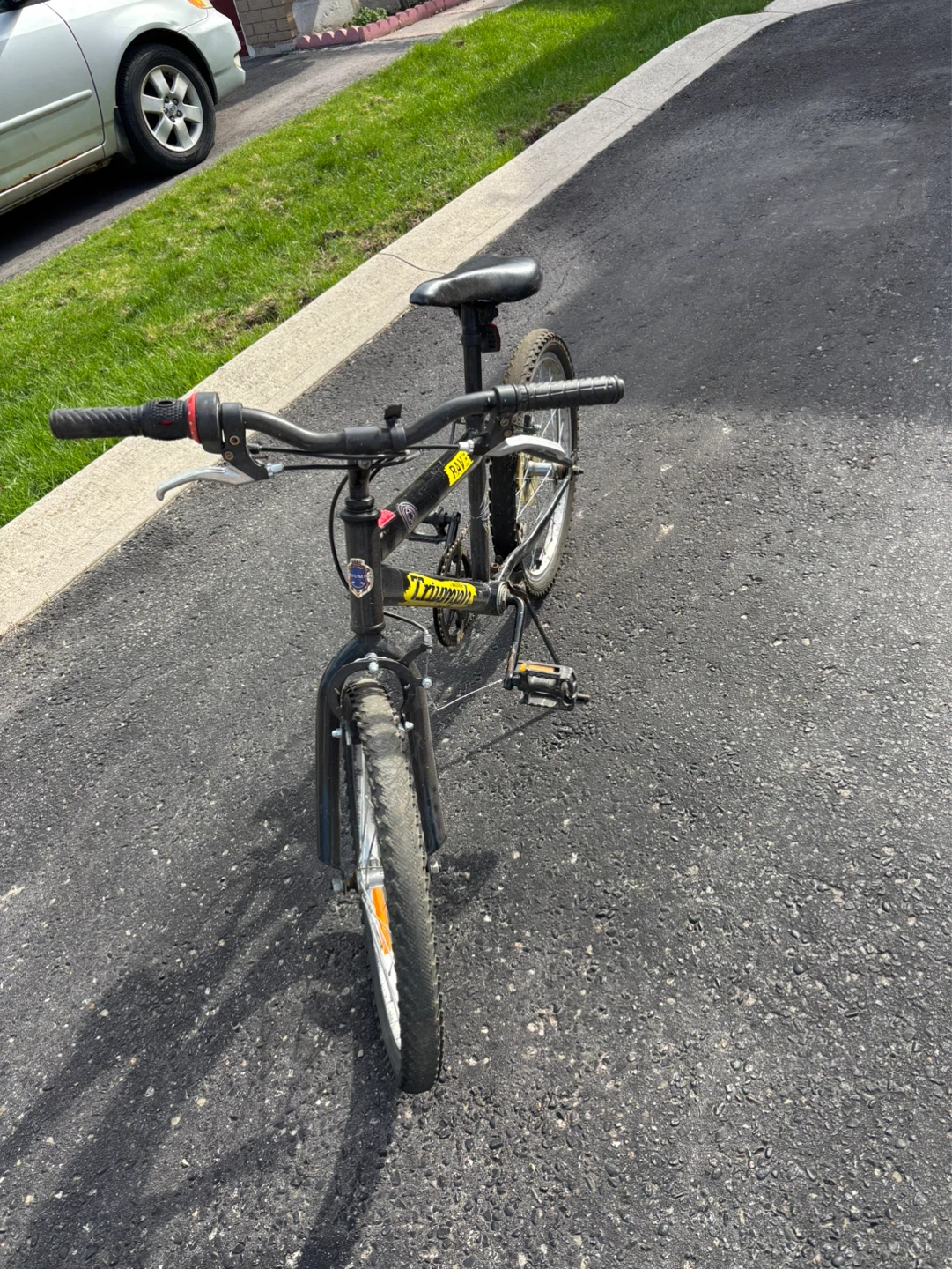 Raleigh Triumph "Rave" Boys Mountain Bike