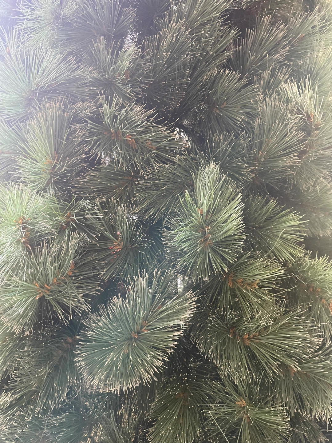 Artificial Christmas Tree - photo 2