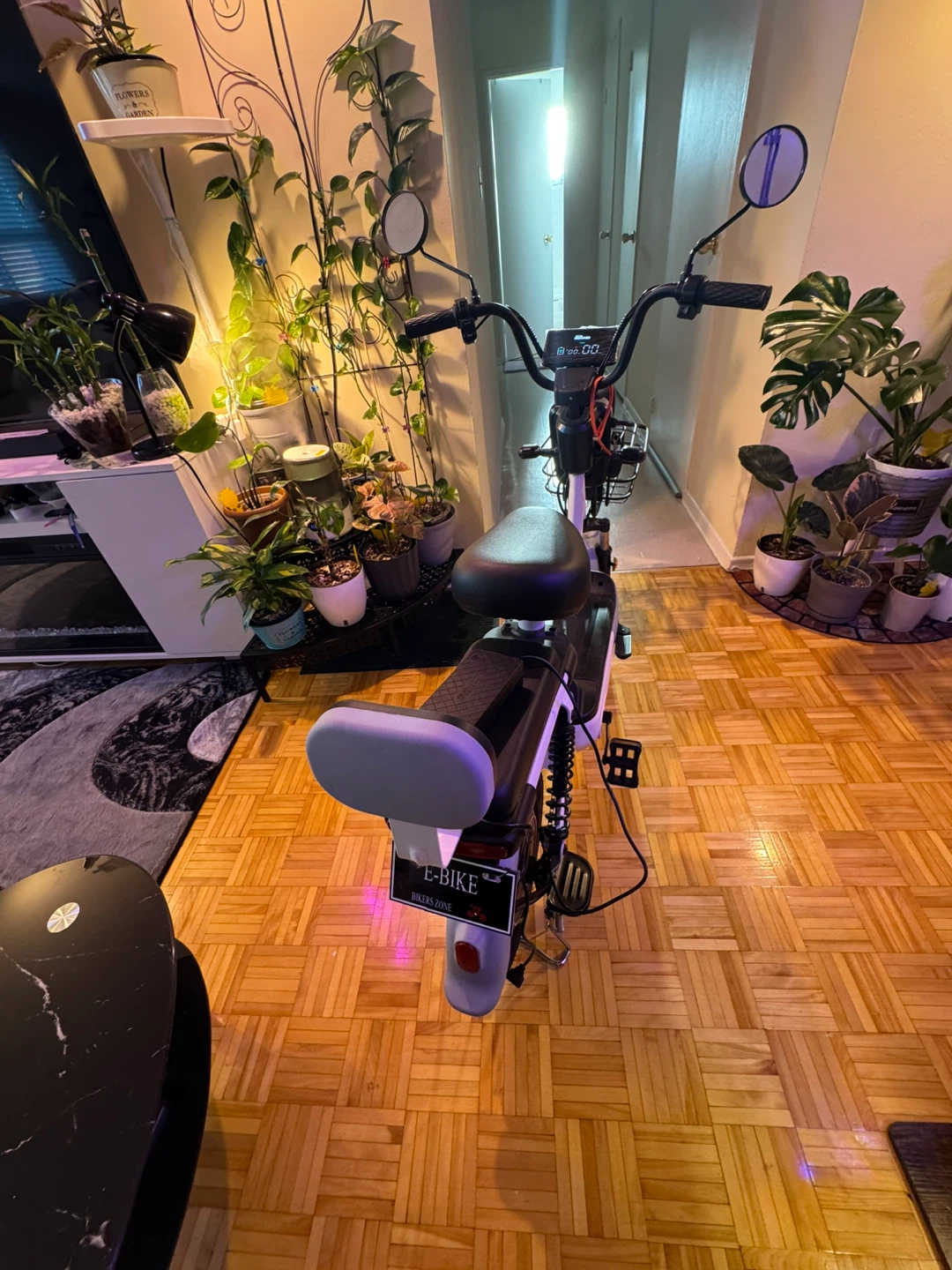 E-bike for sale - Mint Condition - photo 4