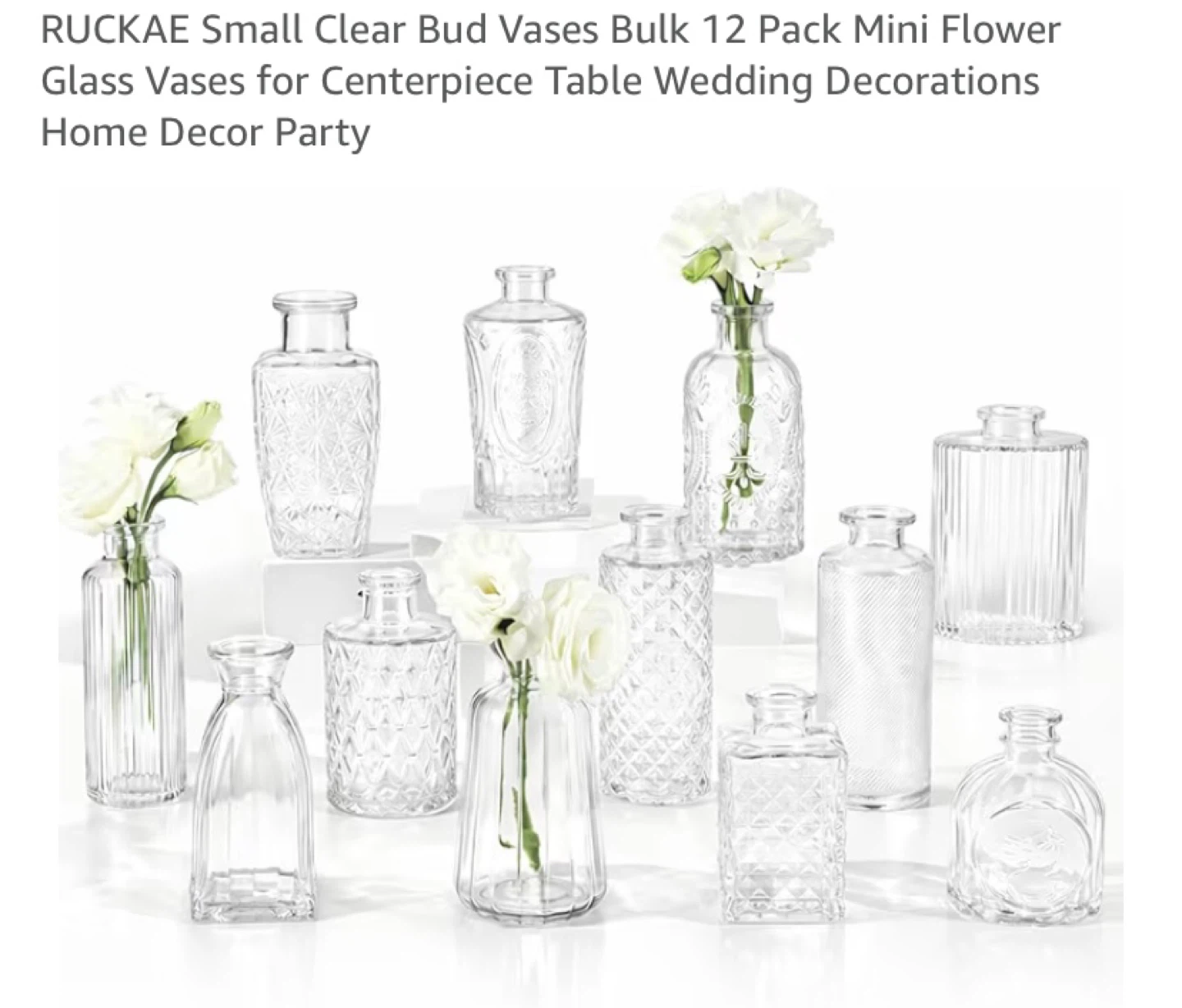 New Clear Mini Bud Vases Set of 12