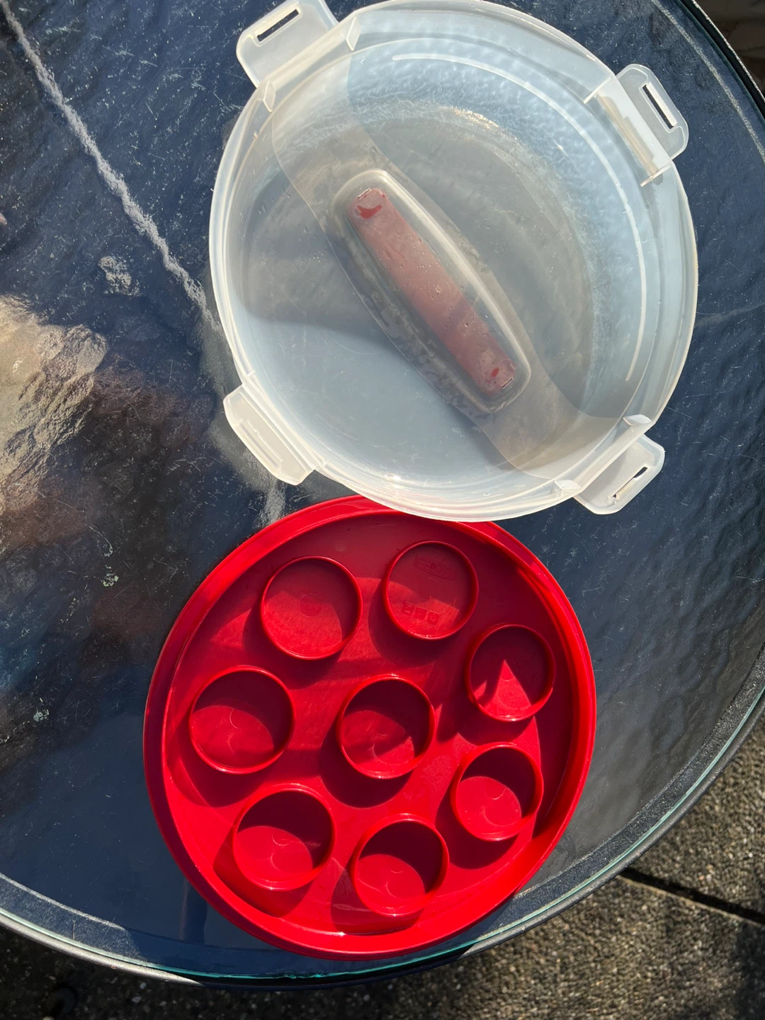 Round Cake Carrier with Red Insert