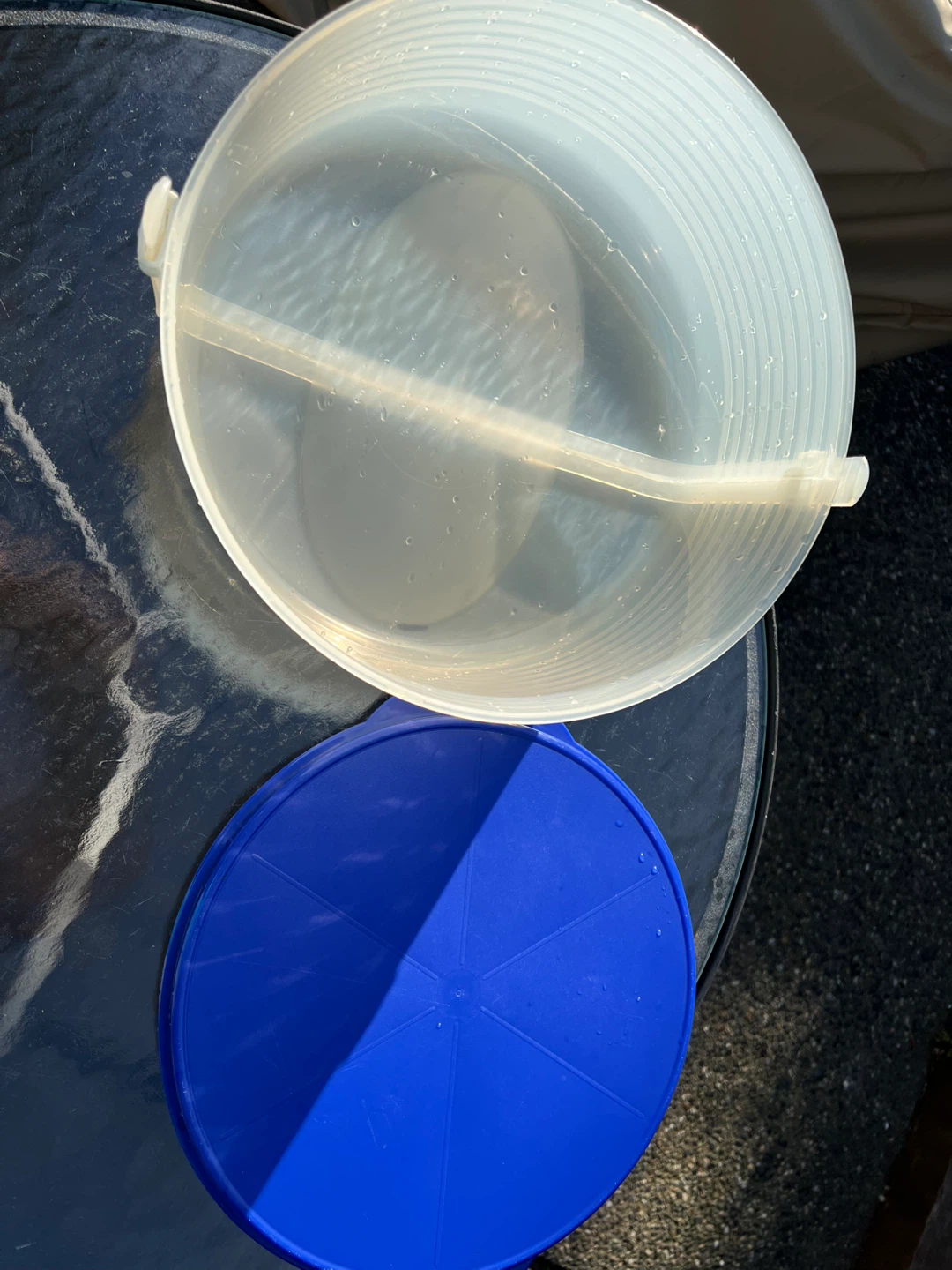 Clear Plastic Cake Carrier with Blue Lid - photo 2