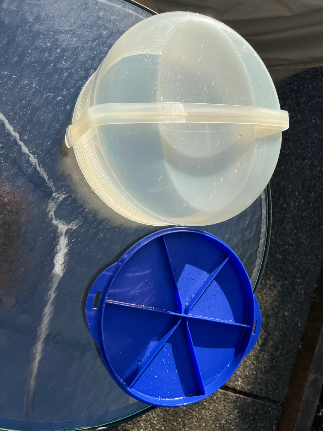 Clear Plastic Cake Carrier with Blue Lid