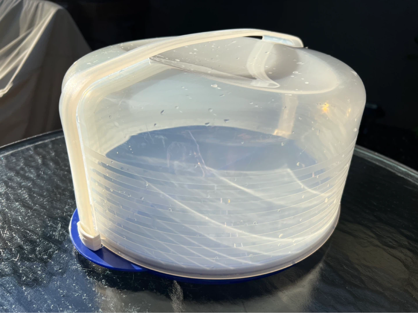 Clear Plastic Cake Carrier with Blue Lid - photo 3