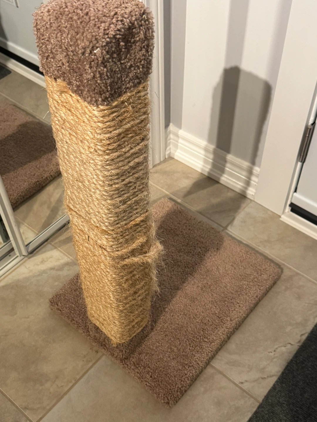 Cat scratch post