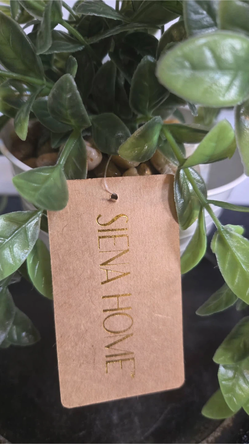 Faux Succulent , Home Artificial Plant - photo 2