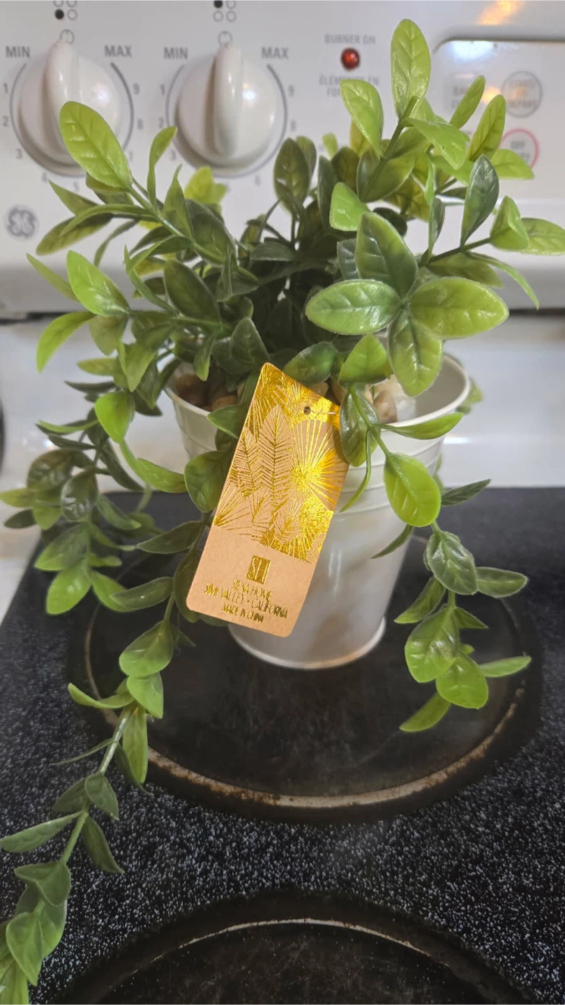 Faux Succulent , Home Artificial Plant
