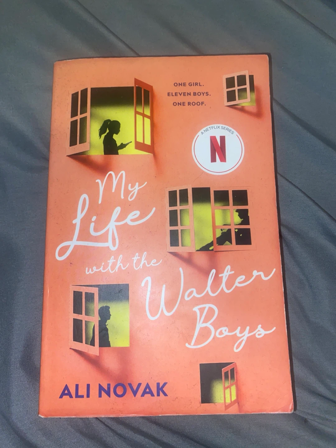 My Life with the Walter Boys Book by Ali Novak