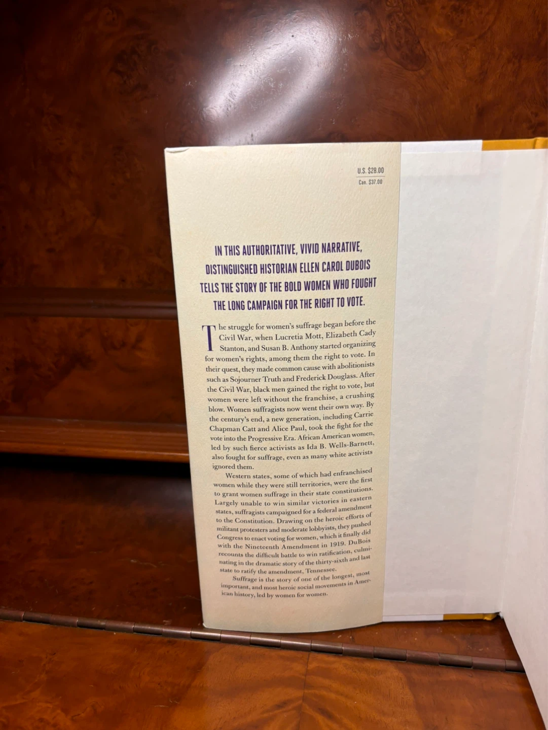 Suffrage: Women’s Battle for Vote Hardcover – Ellen Carol DuBois - photo 2