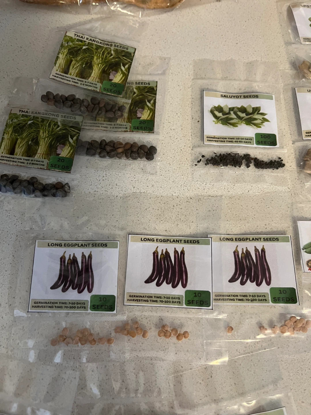 Assorted Vegetable Seeds - Long Eggplant, Saluyot, and more - photo 2