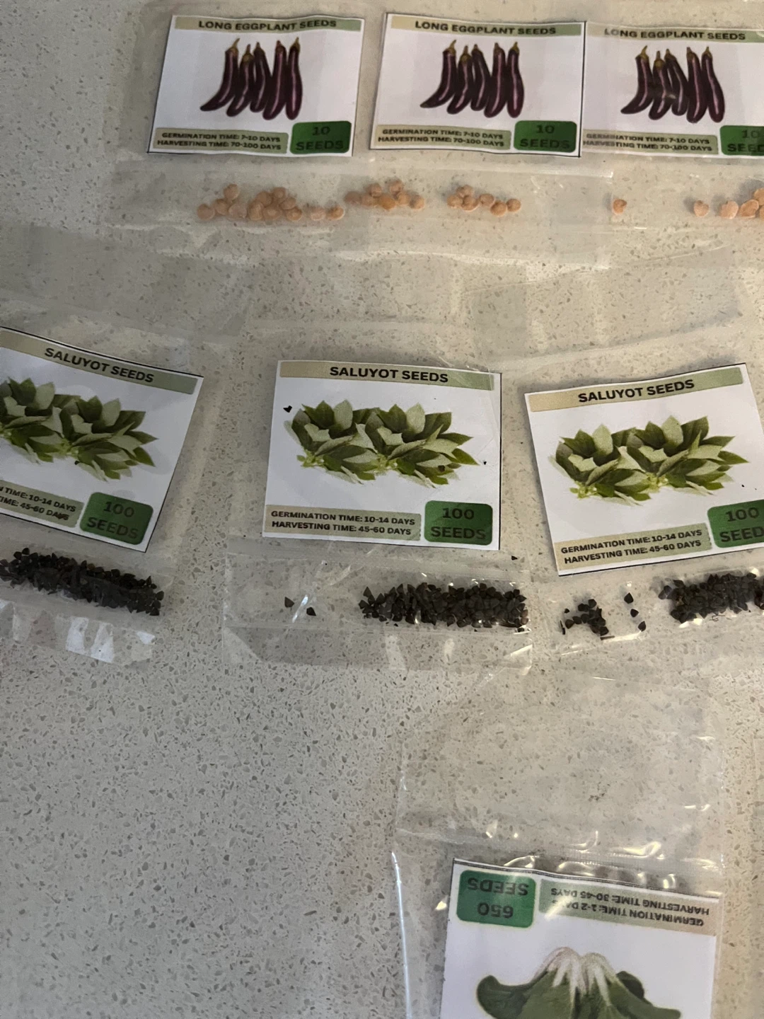 Assorted Vegetable Seeds - Long Eggplant, Saluyot, and more - photo 5