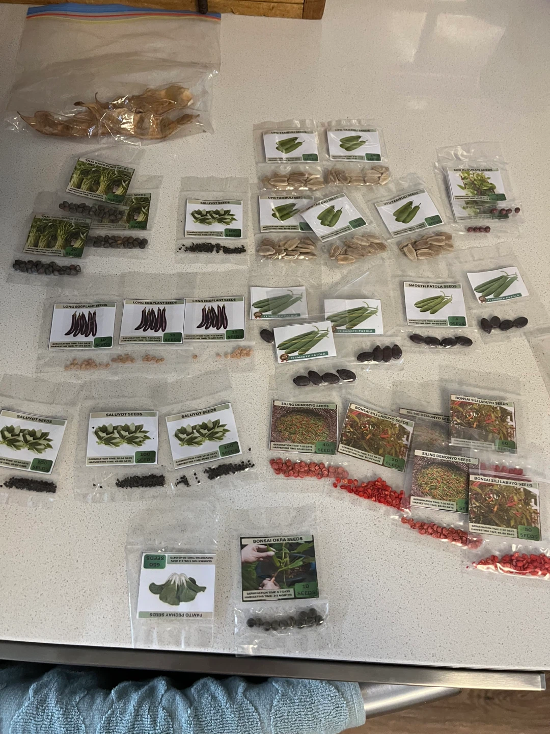 Assorted Vegetable Seeds - Long Eggplant, Saluyot, and more