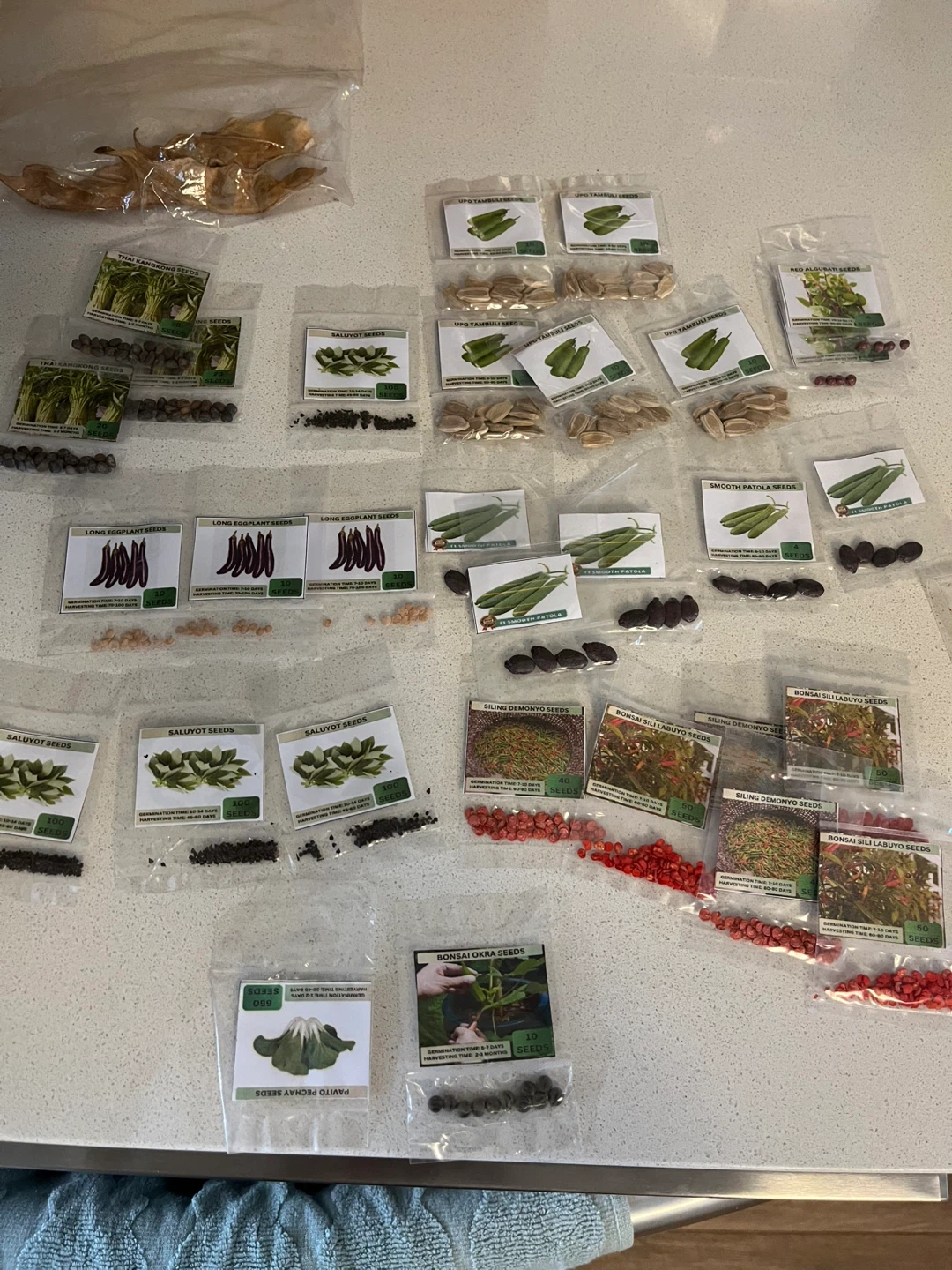 Assorted Vegetable Seeds - Long Eggplant, Saluyot, and more - photo 4