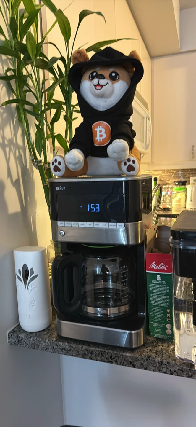 Braun Coffee Maker - photo 2