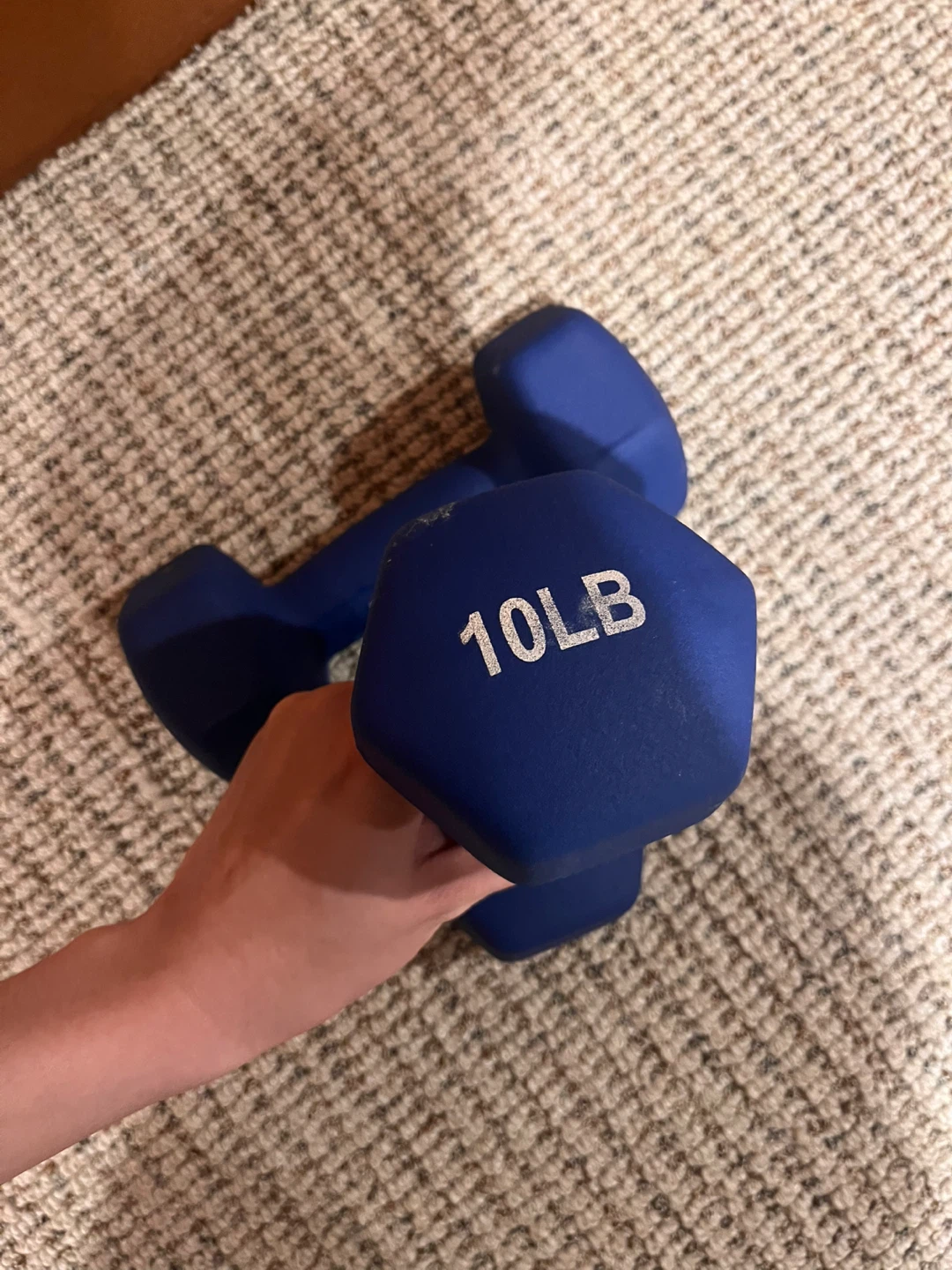 5 LB + 10 LB Dumbbells - Pair