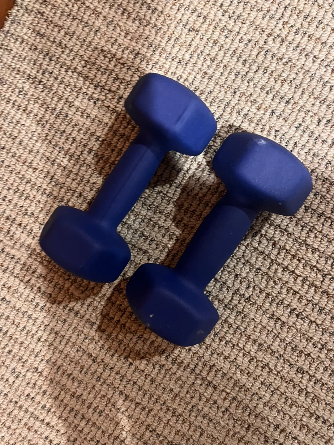 5 LB + 10 LB Dumbbells - Pair - photo 2