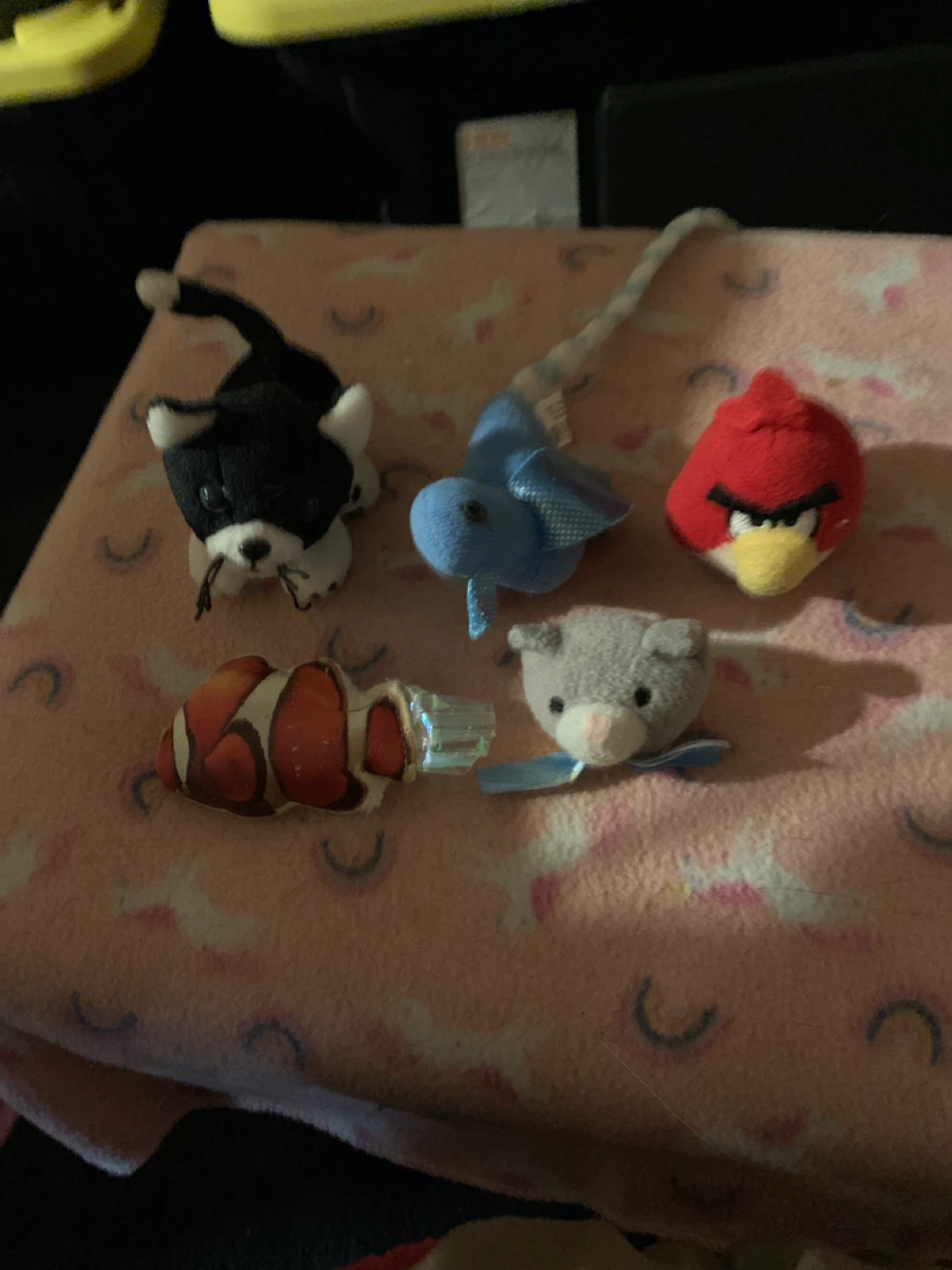 Cat Toys