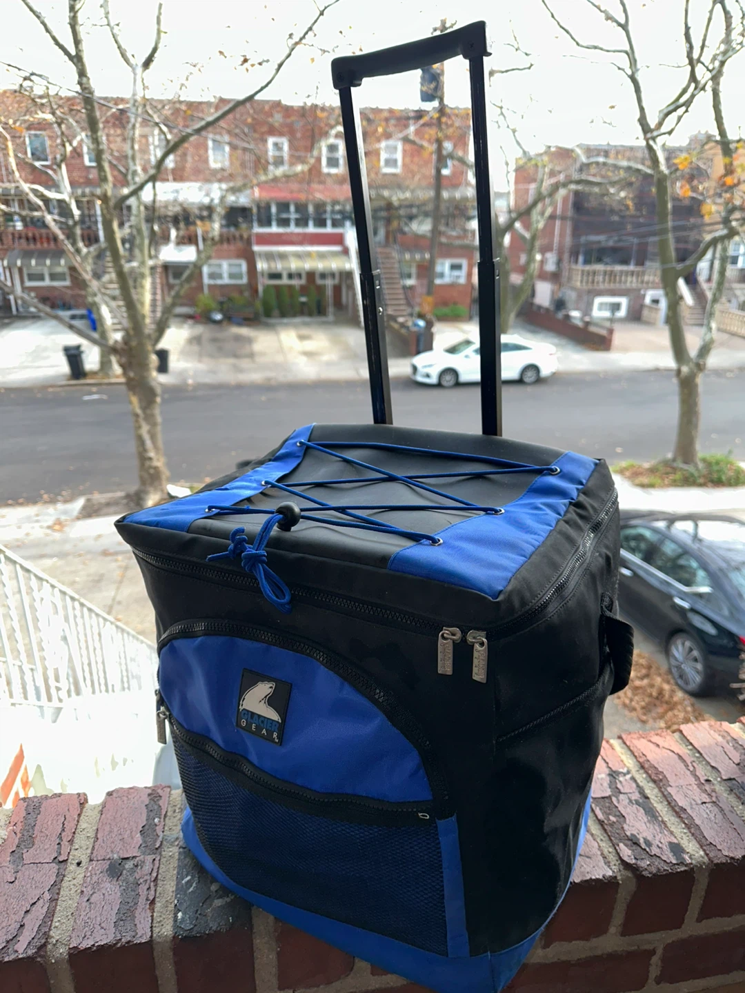 ICE AGE Rolling Cooler Bag