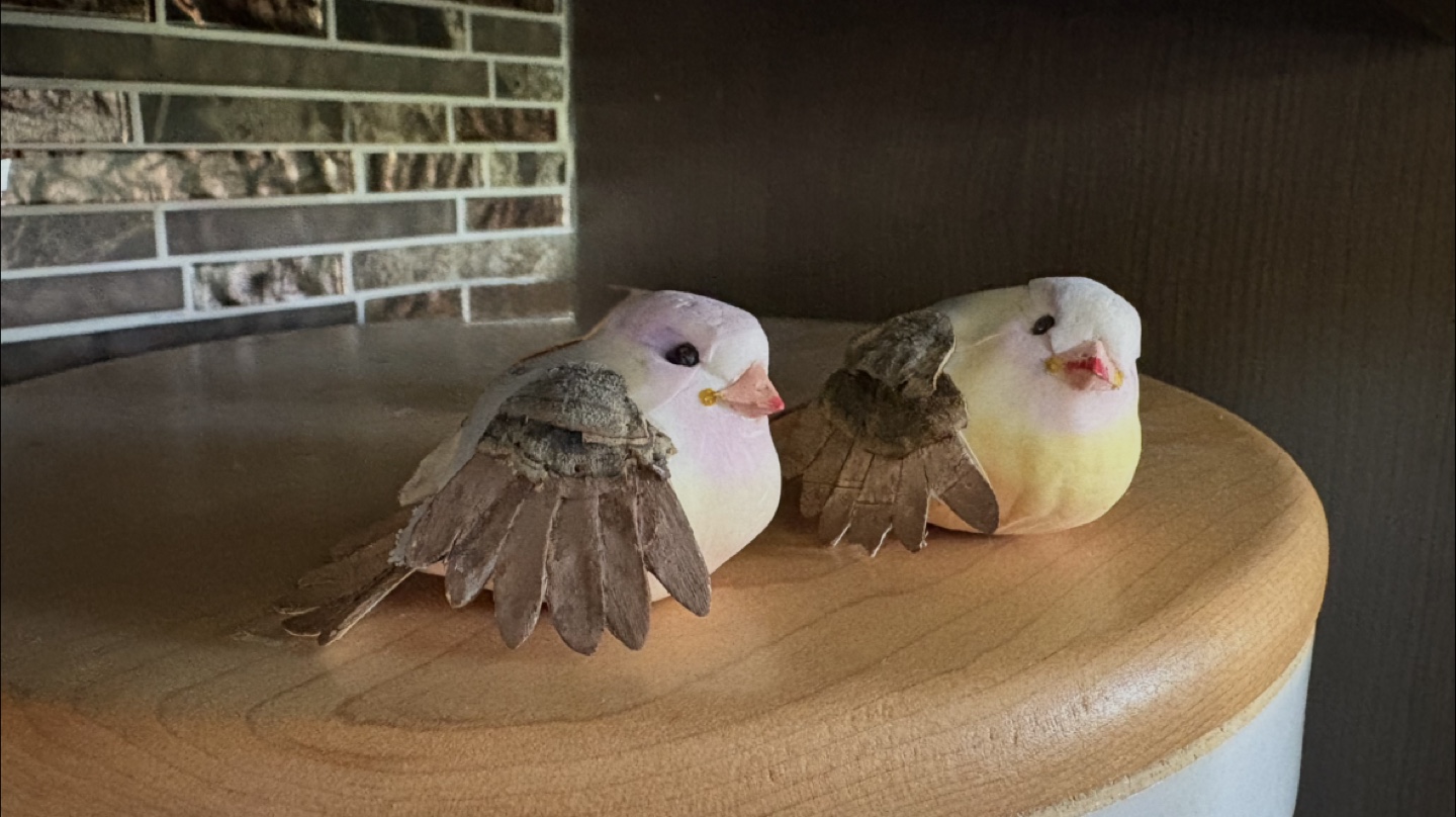 Pair of Small Papier-mâché Decorative Birds