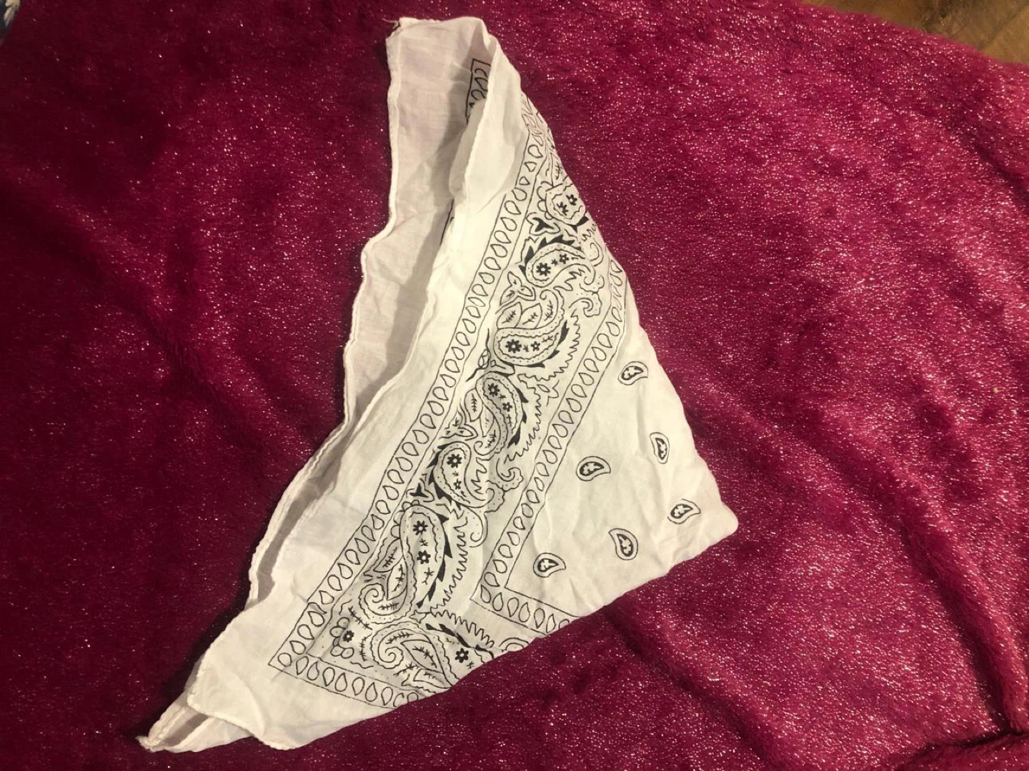 White Bandana with Black Paisley Print