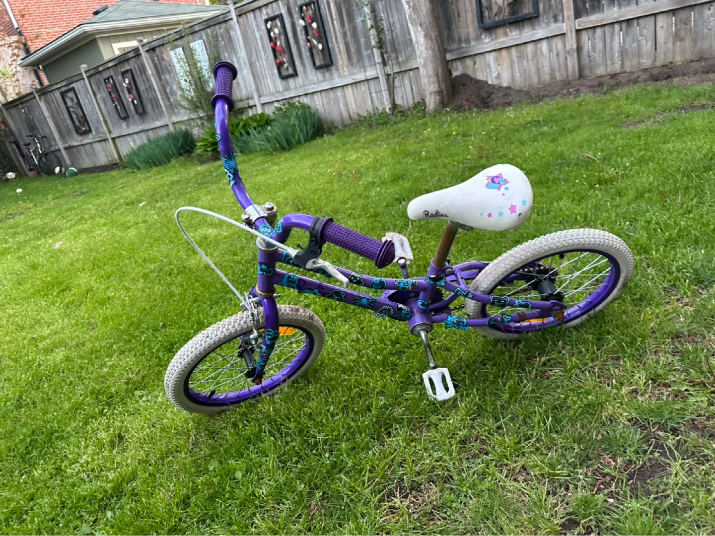 Kids Purple Radius Bicycle