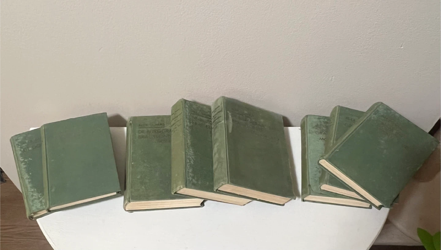 Antique 1941 Alexandre Dumas Dutch Book Collection (8 Volumes)