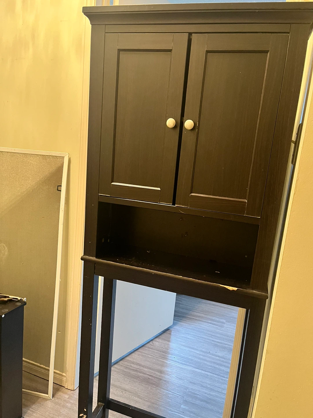 Black Storage Cabinet with Doors