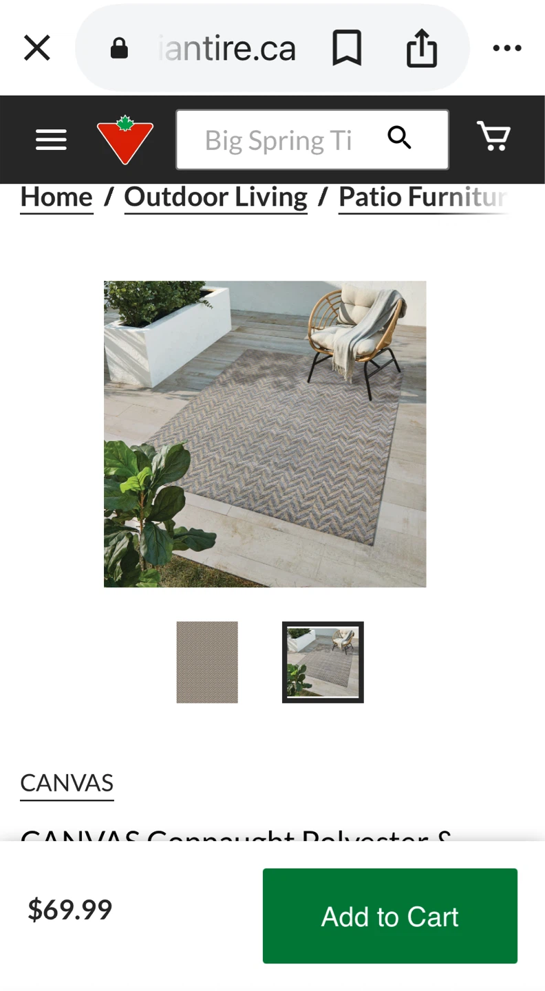 CANVAS Connaught Indoor/Outdoor Rug - 1.83m x 2.44m - photo 4