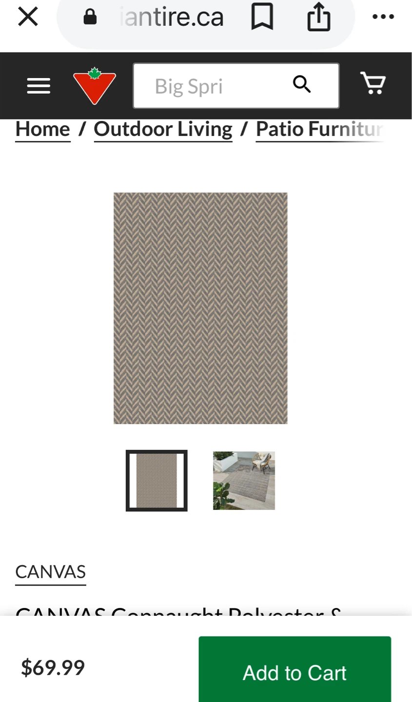 CANVAS Connaught Indoor/Outdoor Rug - 1.83m x 2.44m - photo 3