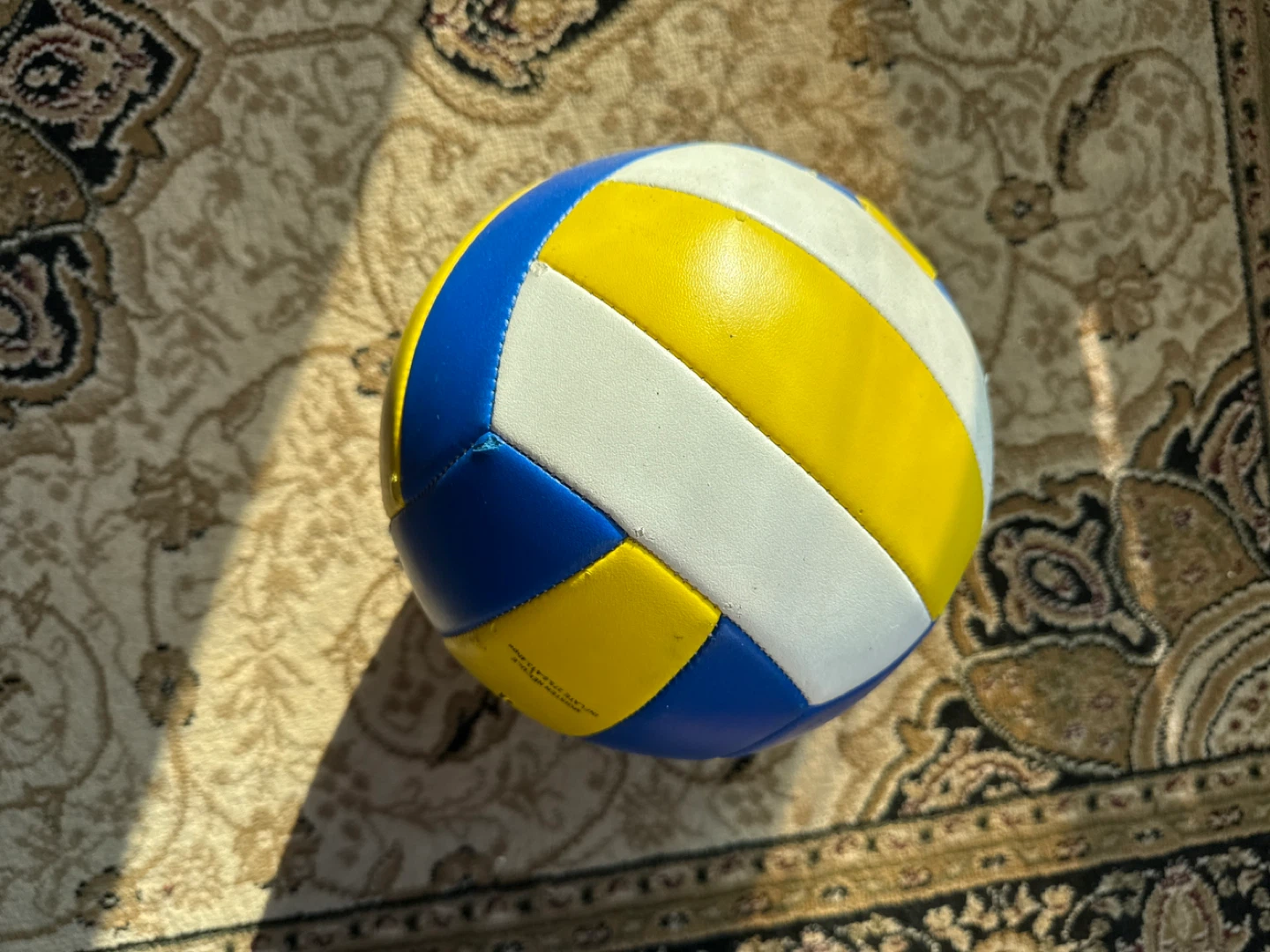Volleyball - Blue, Yellow, White