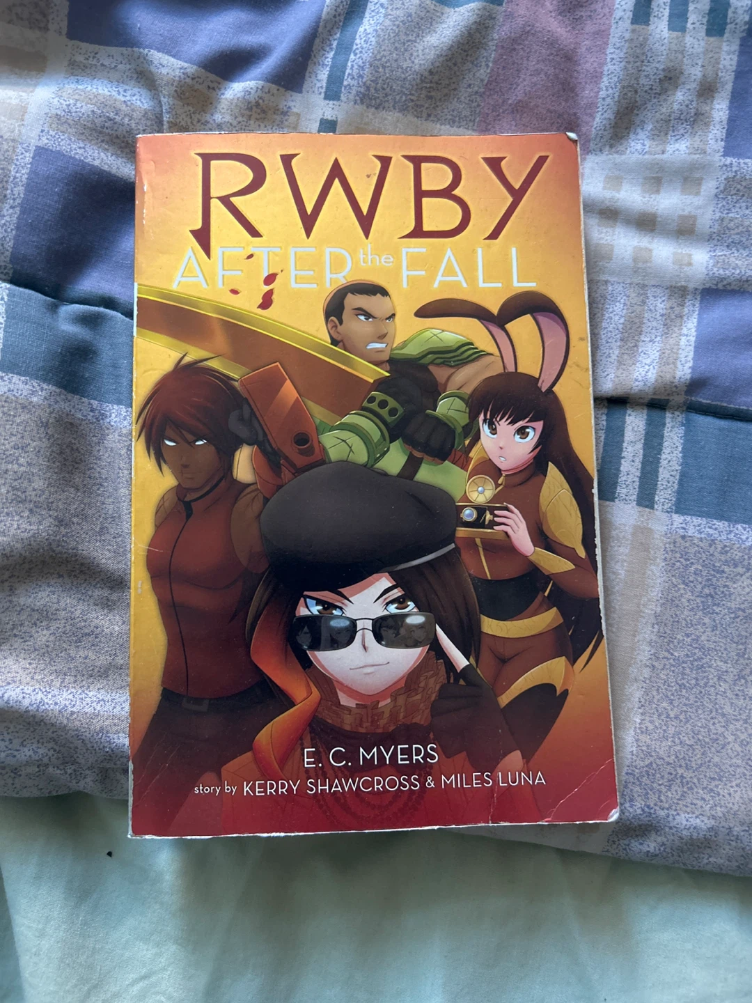 The Hunger Games, Catching Fire, and RWBY Books - photo 3