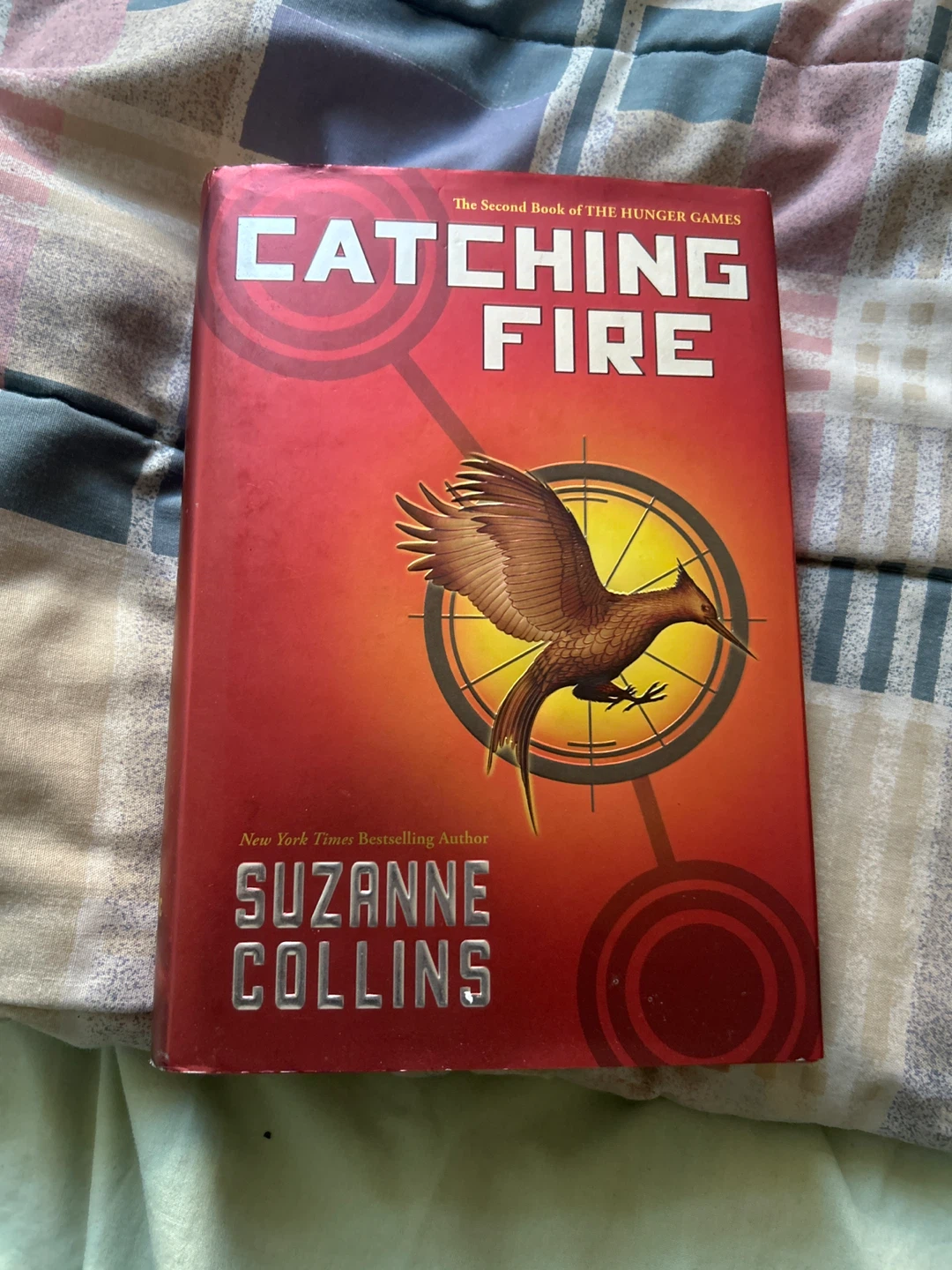 The Hunger Games, Catching Fire, and RWBY Books - photo 4