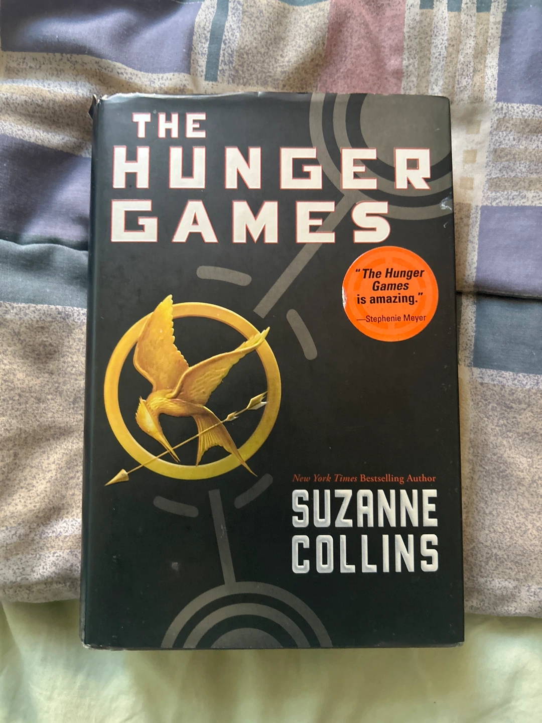 The Hunger Games, Catching Fire, and RWBY Books - photo 2