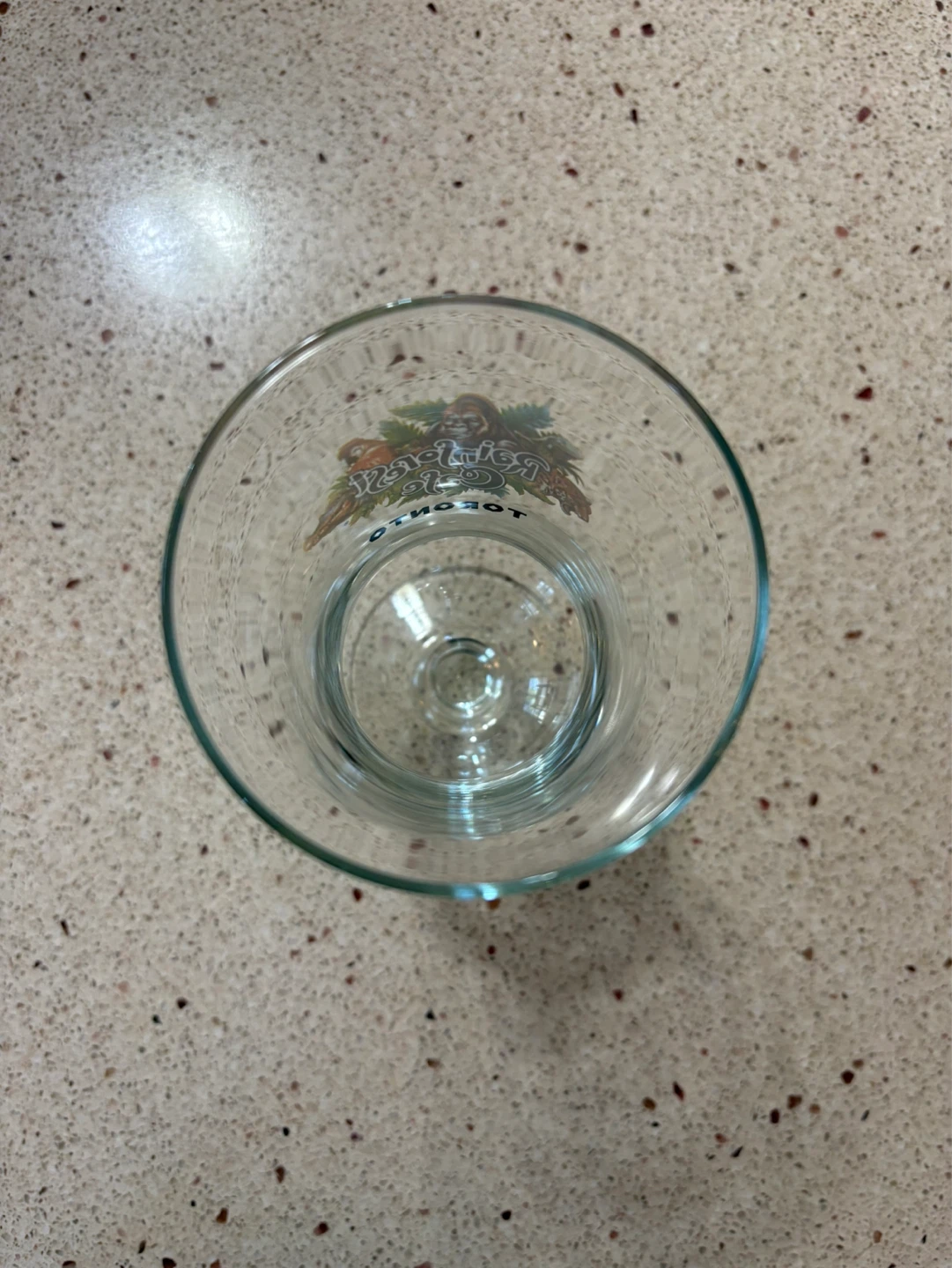 Rainforest Cafe Toronto Glass - photo 3