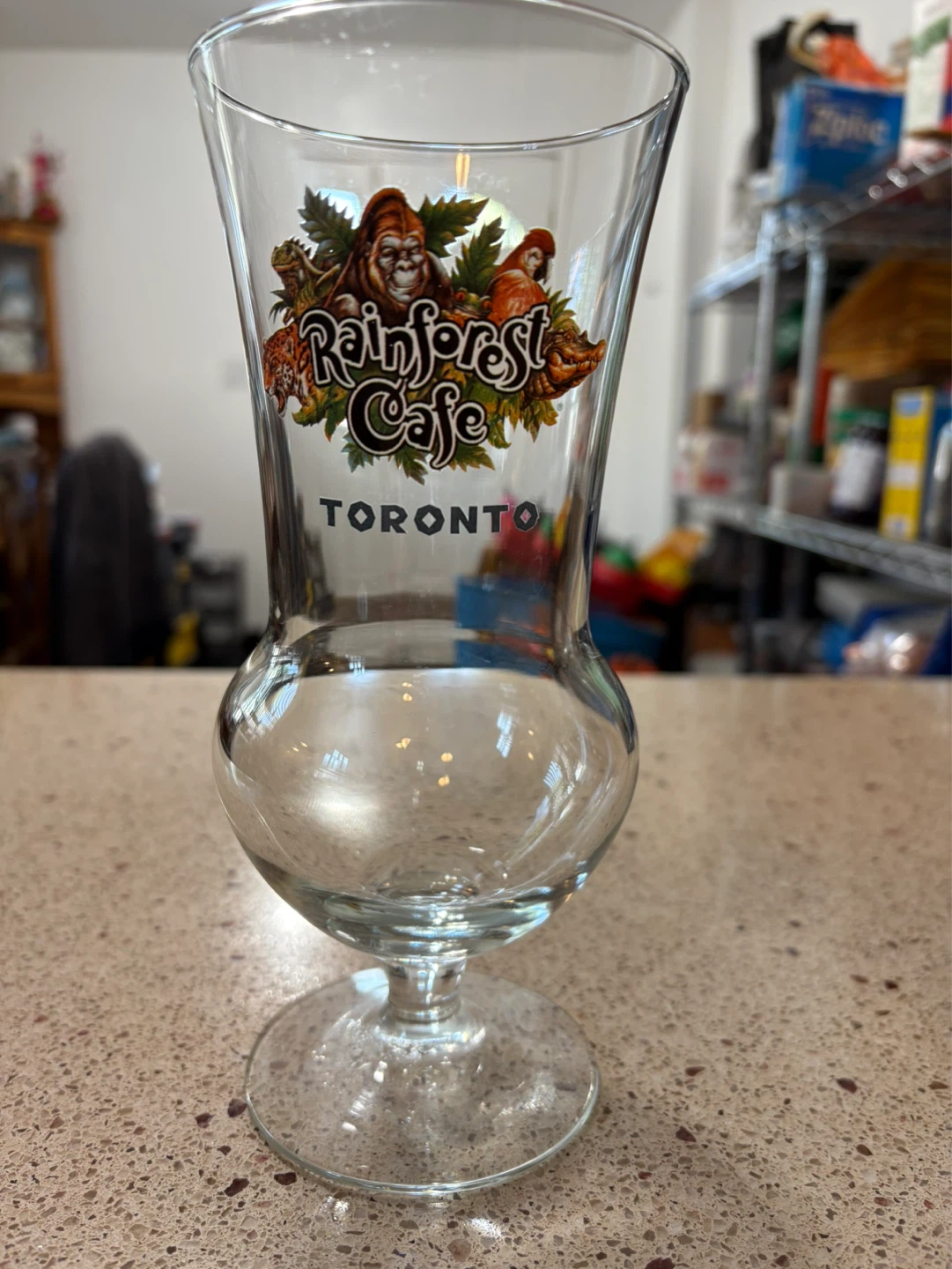 Rainforest Cafe Toronto Glass