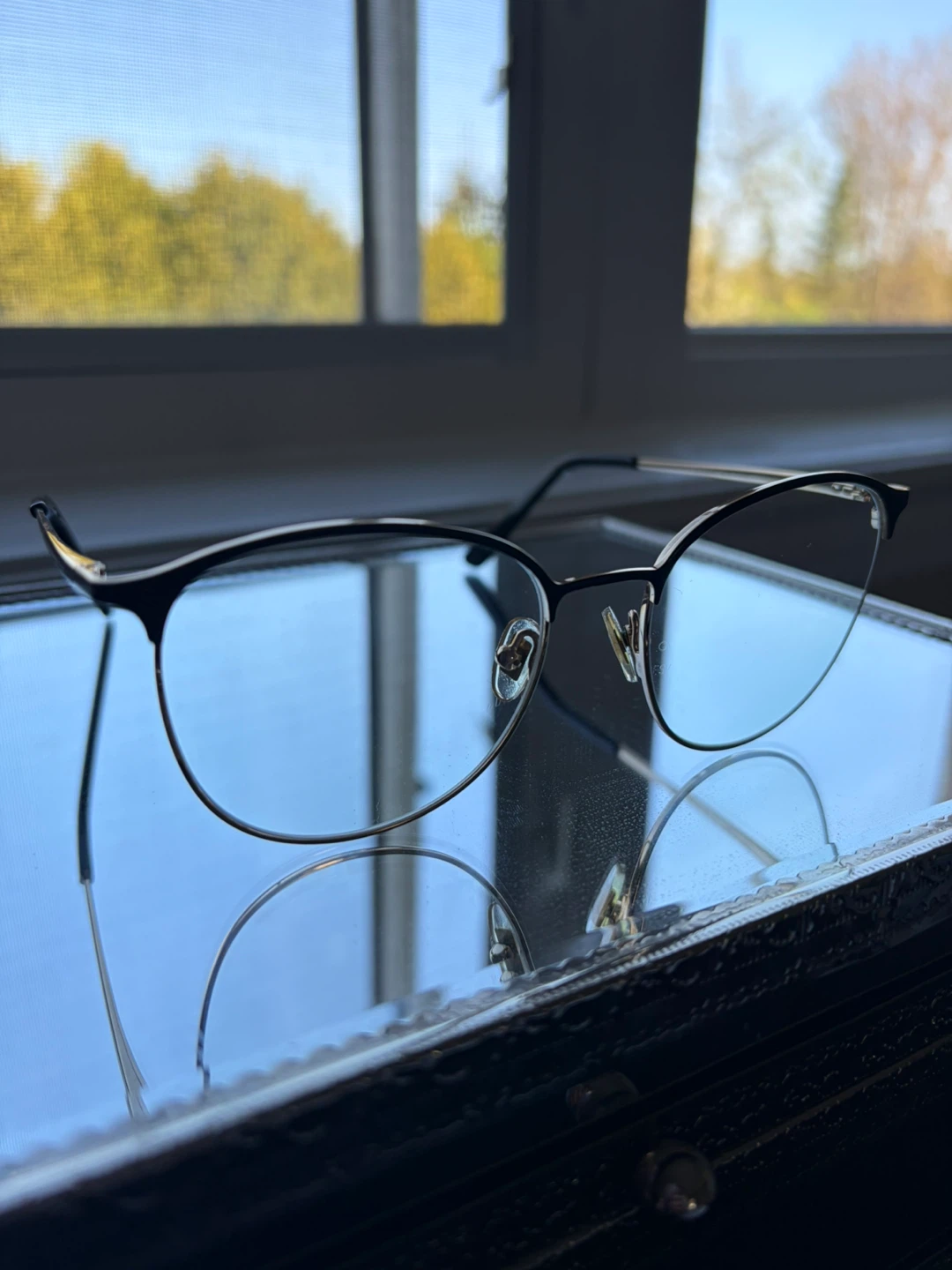 Women's Eyeglasses - Black and Gold Metal Frame