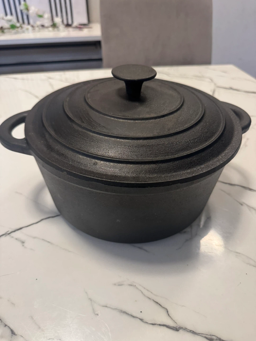 Cast Iron Dutch Oven with Lid - photo 2