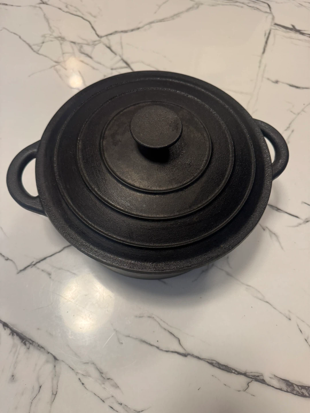 Cast Iron Dutch Oven with Lid