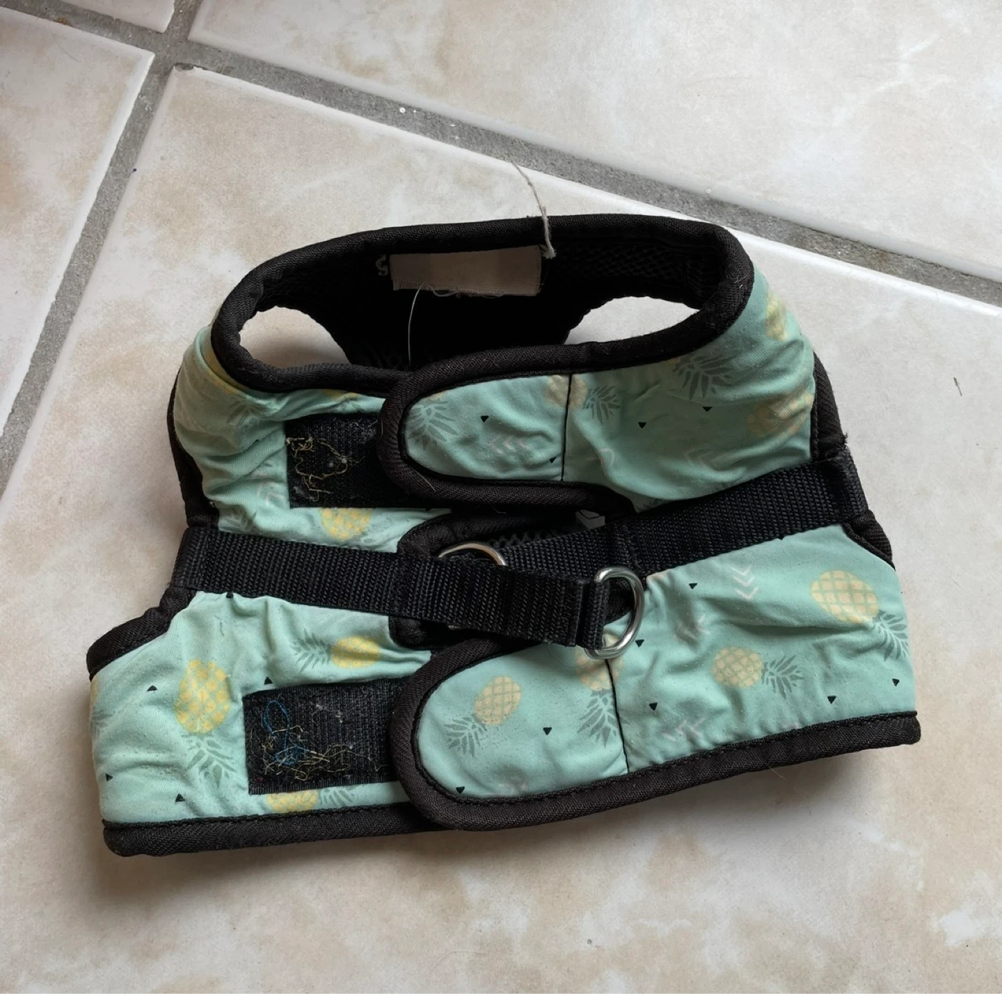 XS/S RC Pets Dog Harness - photo 2