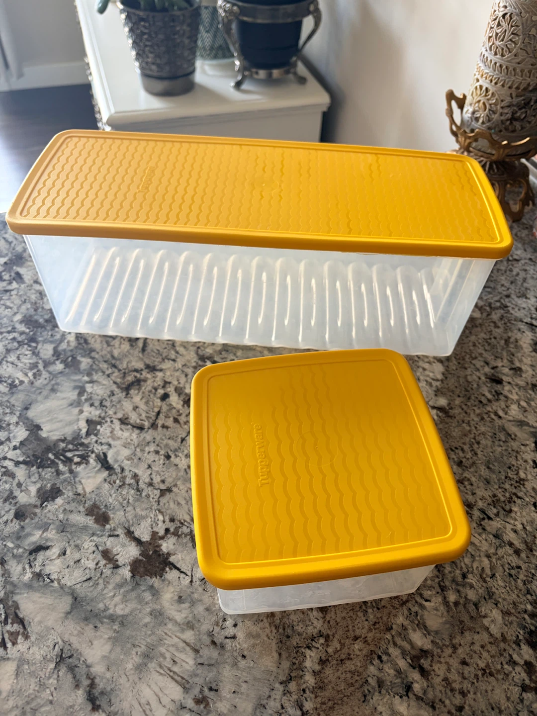 Tupperware Food Storage Containers (Set of 2)