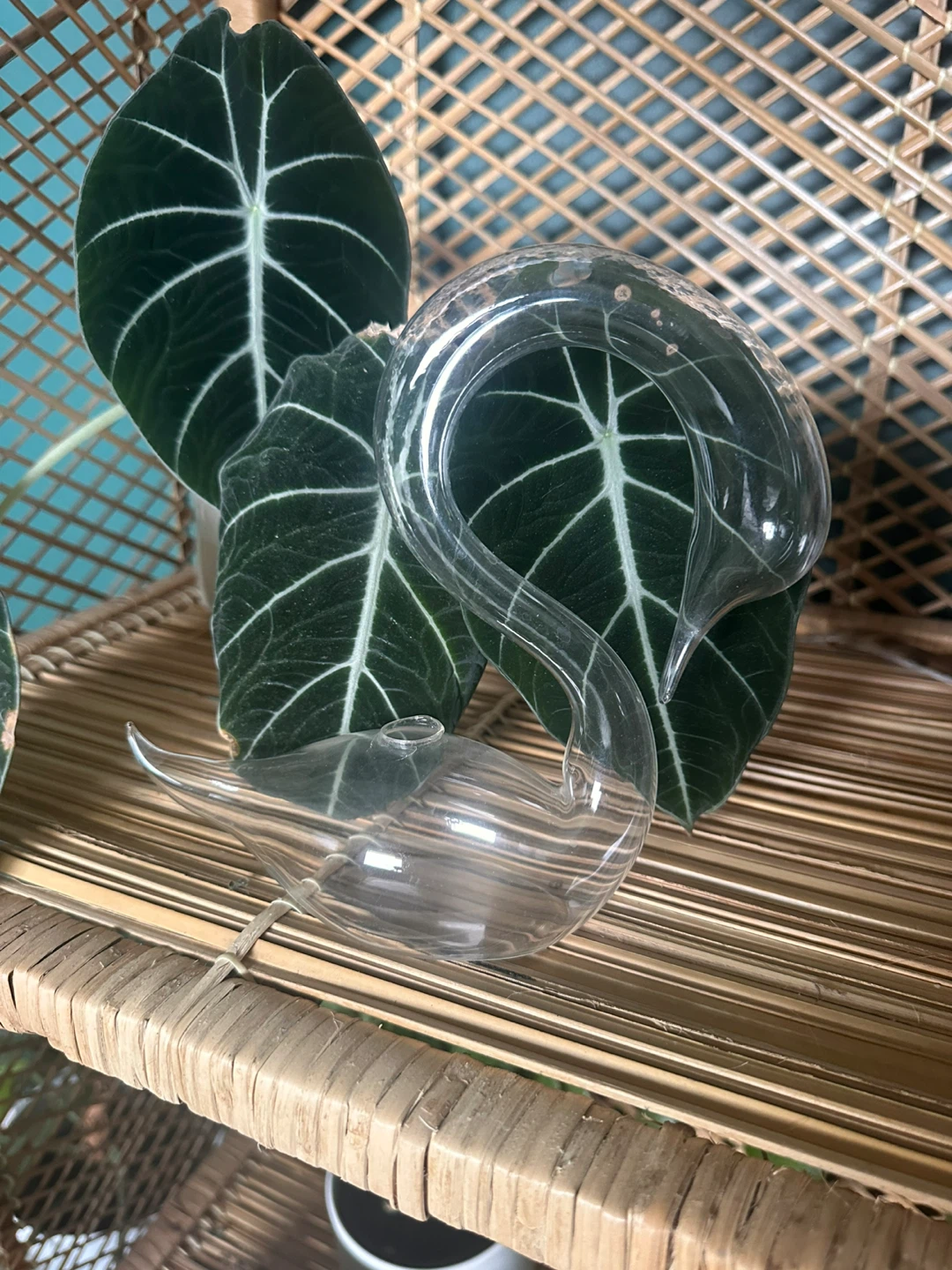 Glass Swan vase