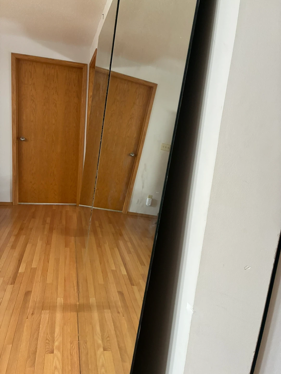 2 large mirrors 4’x7’9”