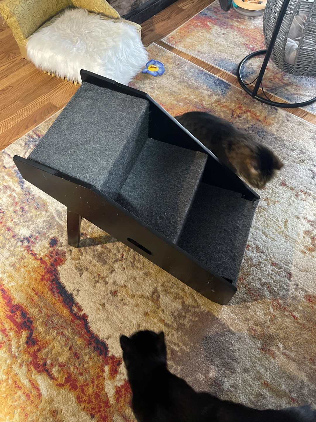 Pet Stairs/Steps