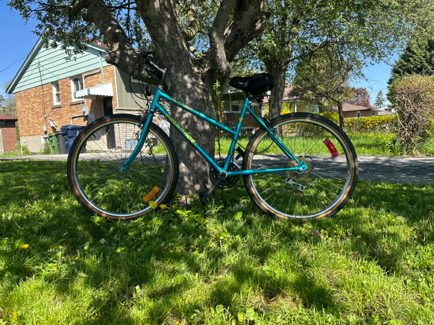 Vintage Teal Mountain Bike
