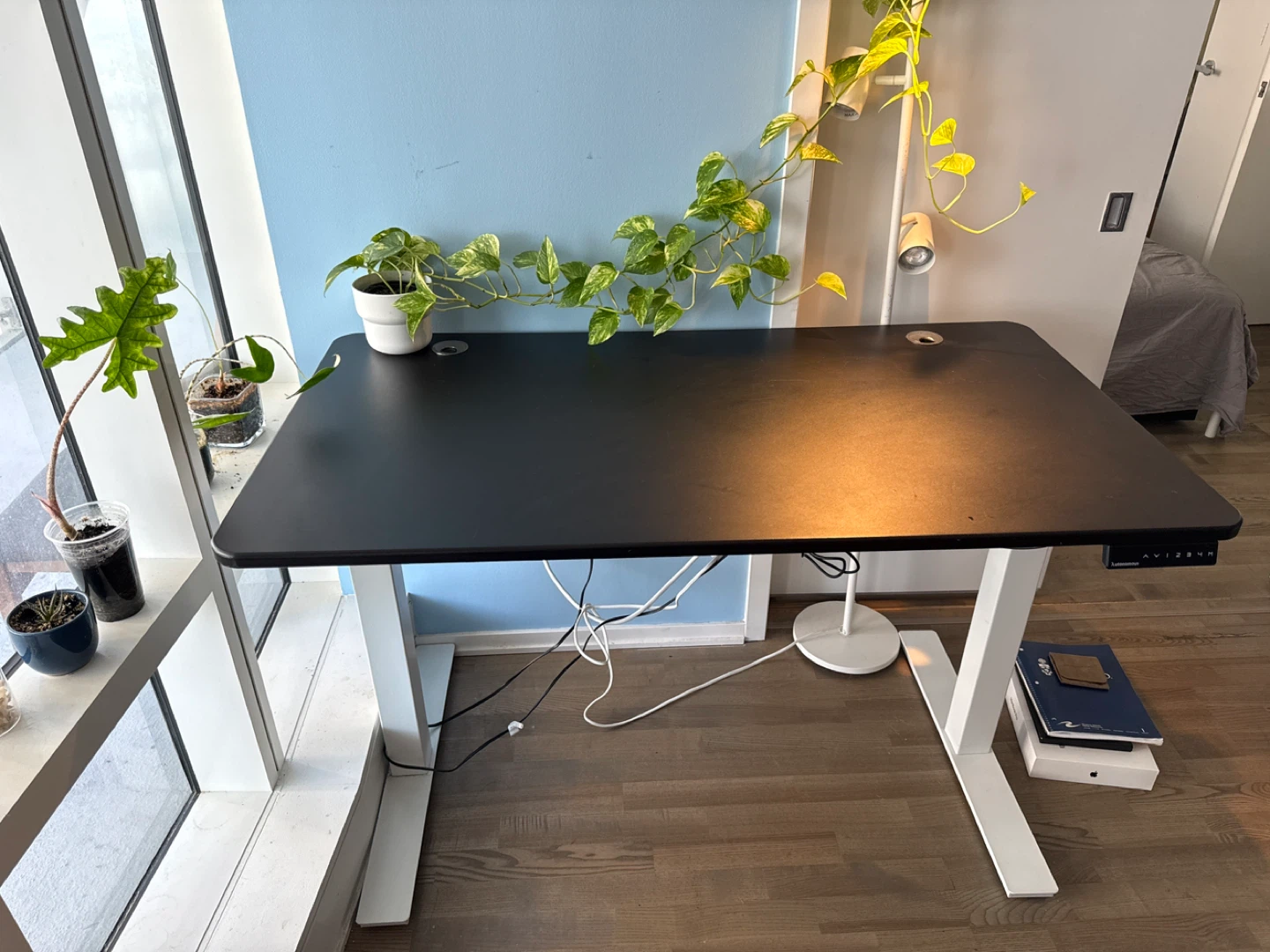 Like New Autonomous Standing Desk - Black