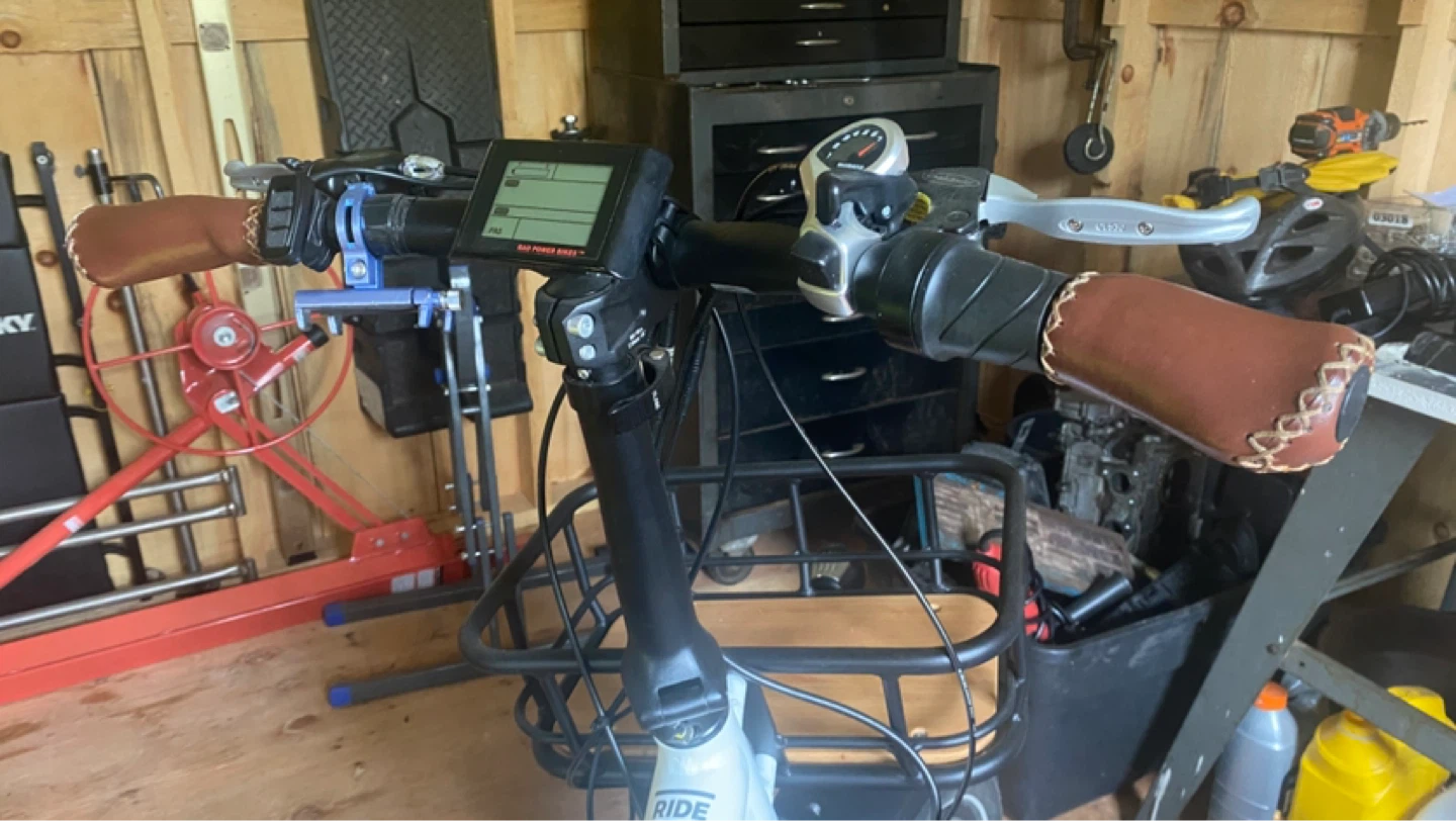 Rad Power Bikes RadMini Electric Folding Bike - photo 2