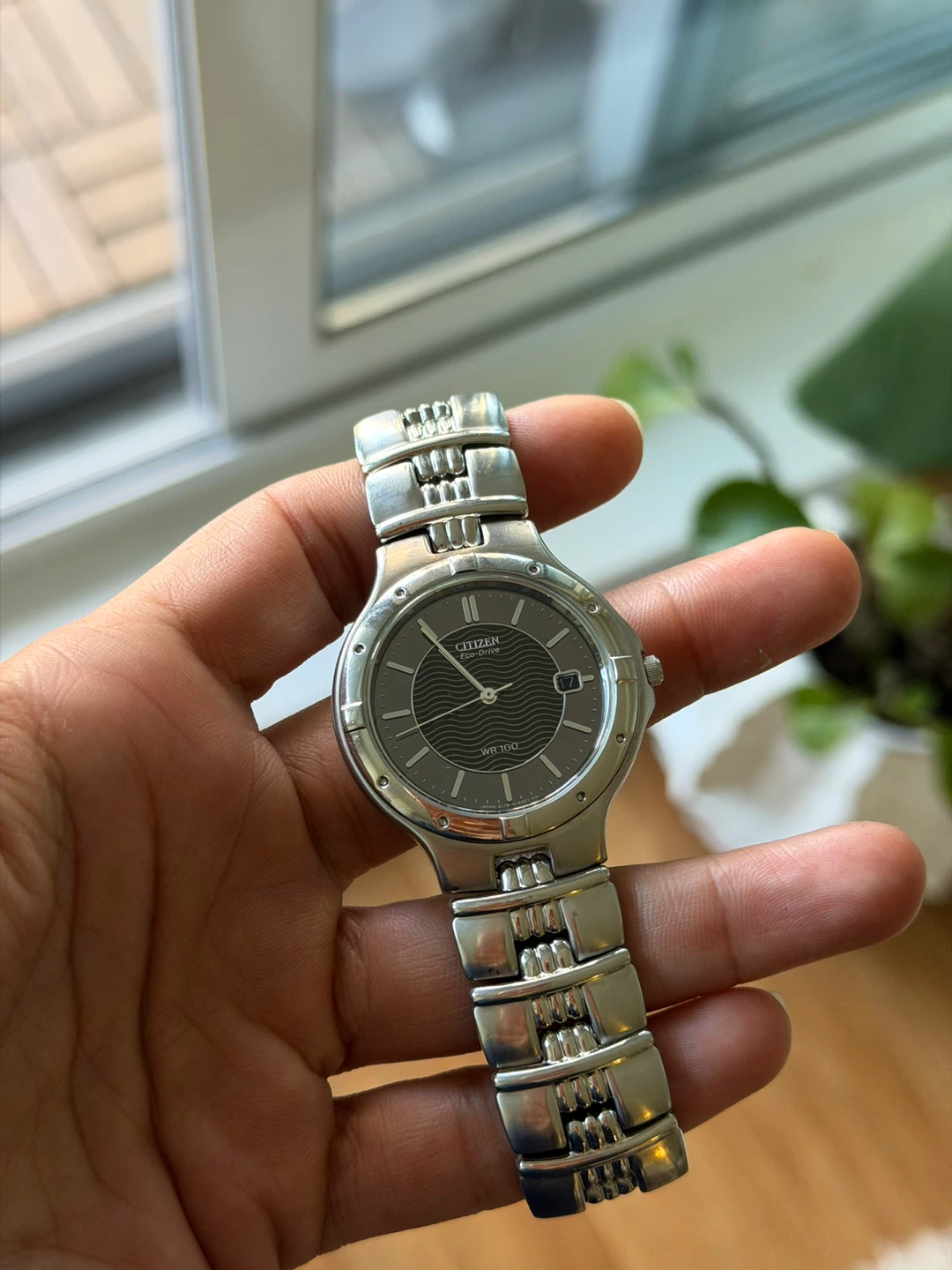 Citizen Eco-Drive WR100 Watch
